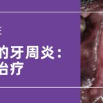 【实践】狗和猫的牙周炎：识别及治疗